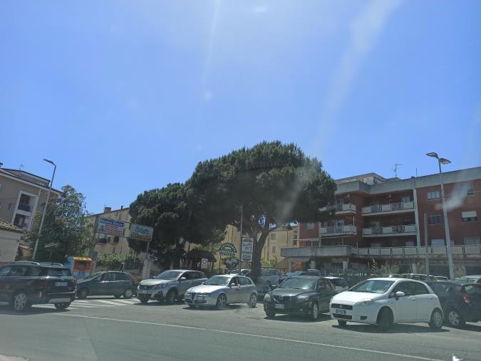 Catanzaro. La denuncia: "Situazione di pericolo all'uscita degli alunni dell'istituto Casalinuovo" images Catanzaro. La denuncia: "Situazione di pericolo all'uscita degli alunni dell'istituto Casalinuovo"