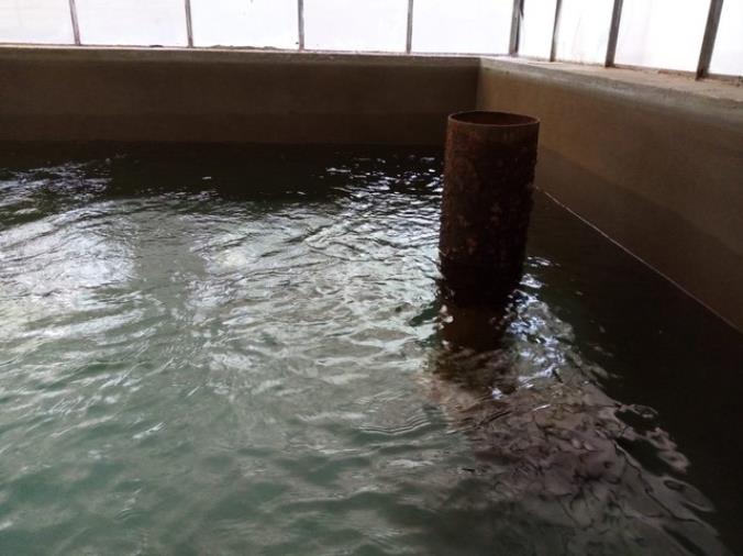 images Sorical: "Fiumi prosciugati. È crisi idrica nel Crotonese, nel Cosentino e a sud di Reggio"