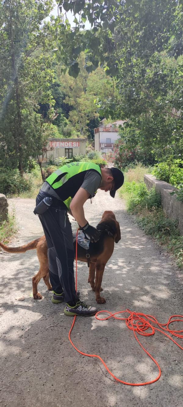 images Turista scomparso a Guardia Piemontese: ritrovato il corpo senza vita