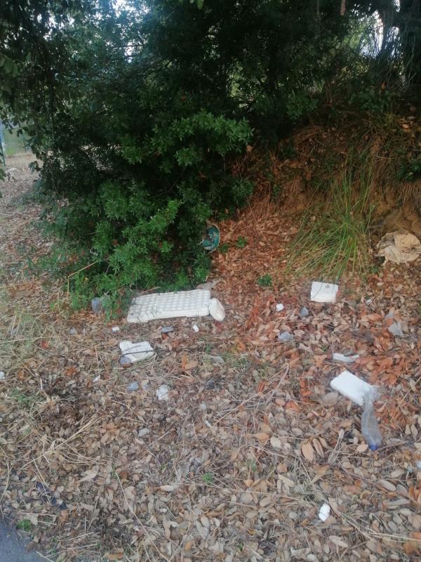 images Degrado lungo via Melito Porto Salvo, Prima l’italia: “Situazione indecorosa”