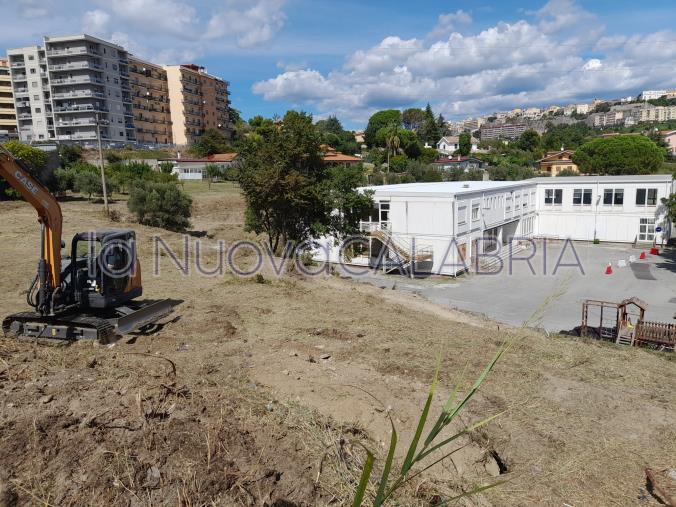 images Emergenza a Catanzaro, recintata la scuola D'Errico presa d'assalto da un branco di cinghiali