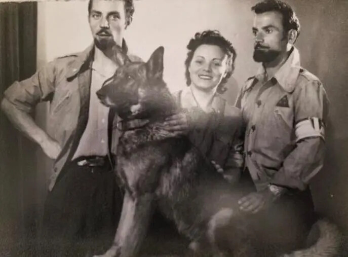 images Festa 25 aprile, Catanzaro ricorda i suoi eroi della Resistenza 