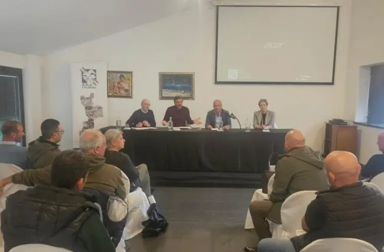 images Emergenza tubercolosi bovina in Calabria, l'Ara: "Situazione grave, a rischio salute cittadini" 