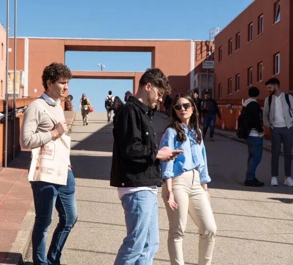 L'Unical del 2024 mette al centro gli studenti: 265 milioni per borse di studio, alloggi, strutture sportive e servizi images L'Unical del 2024 mette al centro gli studenti: 265 milioni per borse di studio, alloggi, strutture sportive e servizi
