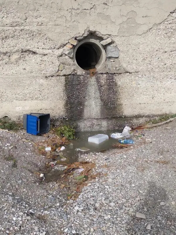 Scarichi abusivi a Catanzaro, Riccio: "La battaglia si deve fare tutto l'anno" images Scarichi abusivi a Catanzaro, Riccio: "La battaglia si deve fare tutto l'anno"