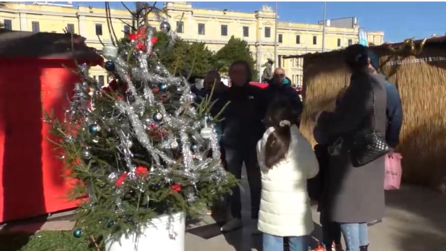 Catanzaro, gli alberi di Natale diventano magici images Catanzaro, gli alberi di Natale diventano magici