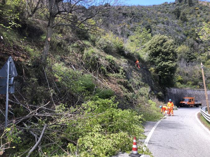images Viabilità. Proseguono i lavori di sistemazione dei versanti rocciosi lungo la Ss 109bis e la Ss280 "Dei due mari" a Catanzaro