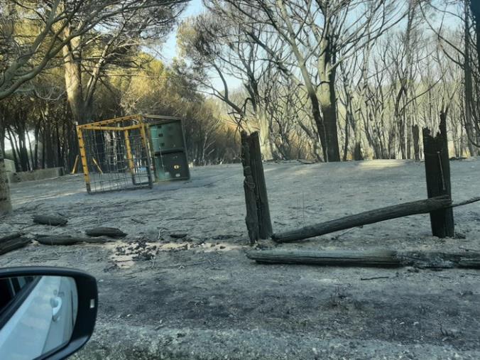 images Incendi in Calabria, Cufari (presidente Agronomi): “Attuare le misure che prevengono tali tragedie”