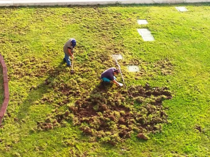 Cassano, Garofalo: "Confermata la mia estraneità alle vicende dello scioglimento" images Cassano, Garofalo: "Confermata la mia estraneità alle vicende dello scioglimento"