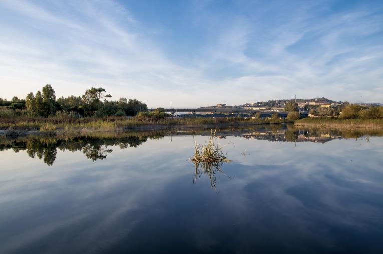 images Depuratore a Catanzaro, il gruppo della Lega: "Sindaco e assessore spieghino cosa vogliono fare con i 2 milioni"
