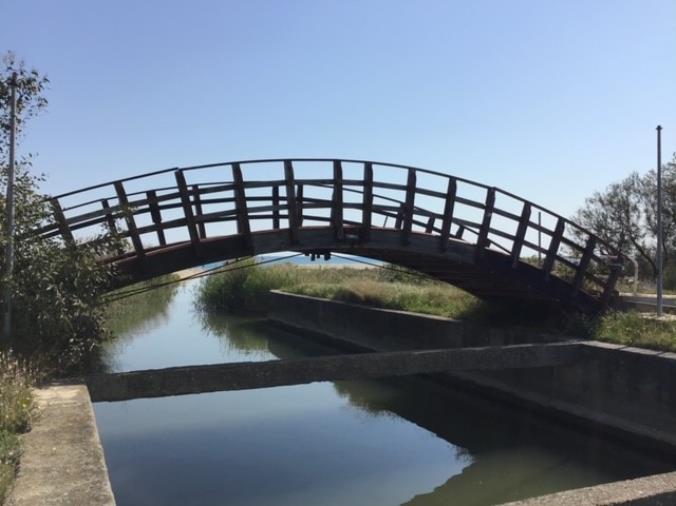 Ponte di legno in località Bruscate, il Comune di Cassano al lavoro per la procedura di gara per l’affidamento dei lavori di ripristino images Ponte di legno in località Bruscate, il Comune di Cassano al lavoro per la procedura di gara per l’affidamento dei lavori di ripristino