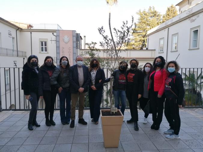 images Cosenza. One Billion Rising pianta un albero di ulivo nel Palazzo del Governo contro le violenze di genere