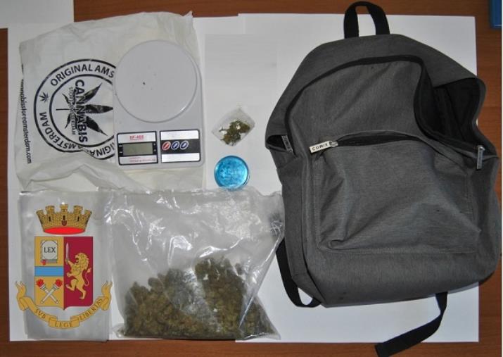 Catanzaro. Trovato con la marijuana in casa: arrestato un 47enne images Catanzaro. Trovato con la marijuana in casa: arrestato un 47enne