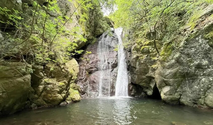 images A Taverna domenica 23 luglio la "Giornata dei Guardiani" per pulire e preservare la natura