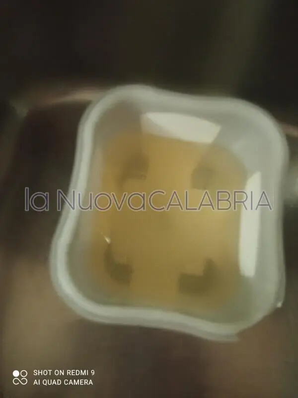 Disagi idrici a Catanzaro, dai rubinetti di alcuni quartieri l'acqua è color ruggine images Disagi idrici a Catanzaro, dai rubinetti di alcuni quartieri l'acqua è color ruggine