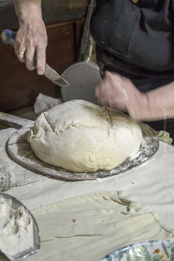 images Ai nastri di partenza il progetto “Il Cammino del Pane” a Locri