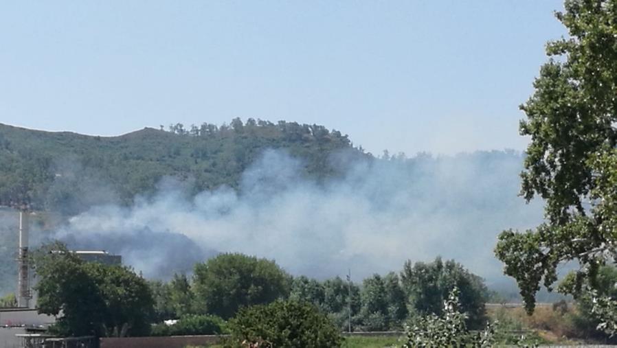 Appiccava fuoco alle sterpaglie: denunciato un uomo a Strongoli images Appiccava fuoco alle sterpaglie: denunciato un uomo a Strongoli