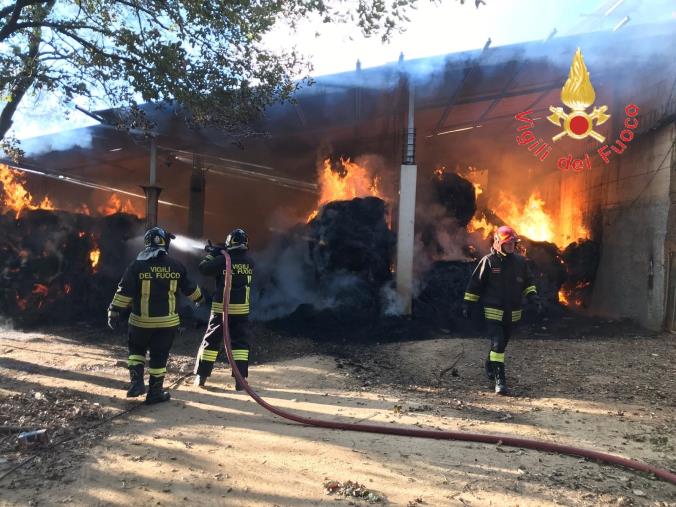 images "Villa Serena For Children", presentato a Catanzaro il progetto dedicato alla salute dei bambini 