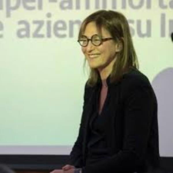 images Bruno Bossio (Pd): "Basta con le strumentalizzazioni sulla freccia Sibari-Bolzano" 