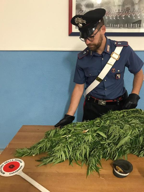 images Stasi: "Al fianco dei dirigenti scolastici per affrontare sfida pedagogica" 