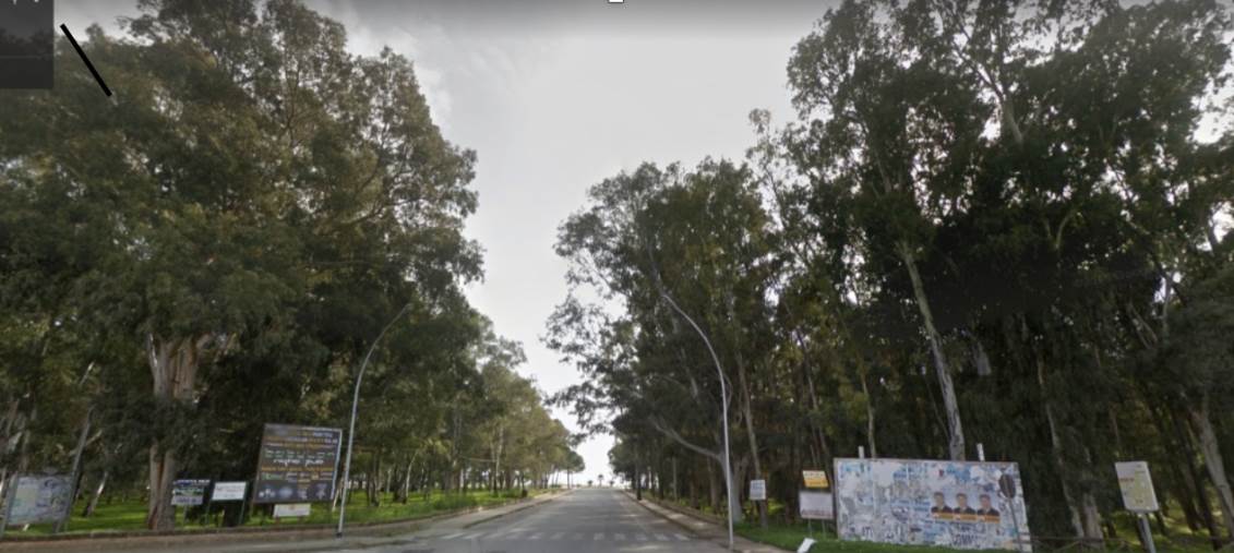 Sellia Marina, "Colori, Immagini... Emozioni, Racconti". Tutto pronto per la nuova edizione della rassegna dedicata alla pittura images Sellia Marina, "Colori, Immagini... Emozioni, Racconti". Tutto pronto per la nuova edizione della rassegna dedicata alla pittura