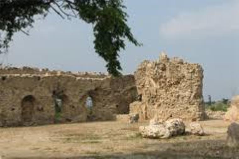 Il Mibact consegna al Comune di Lamezia Terme l'area archeologica “Antica Terina” images Il Mibact consegna al Comune di Lamezia Terme l'area archeologica “Antica Terina”