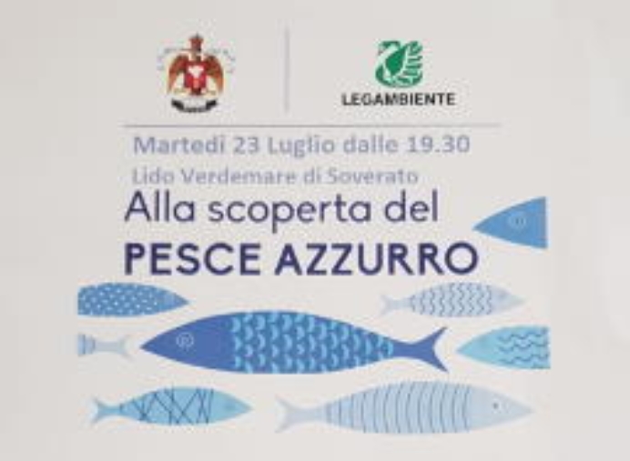 images Catanzaro, deserta la seduta di Consiglio comunale: si torna in aula giovedì