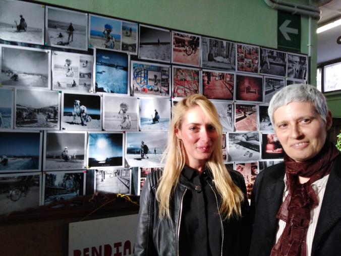 Taglio abusivo di pini larici nel cosentino, tre denunce images Taglio abusivo di pini larici nel cosentino, tre denunce