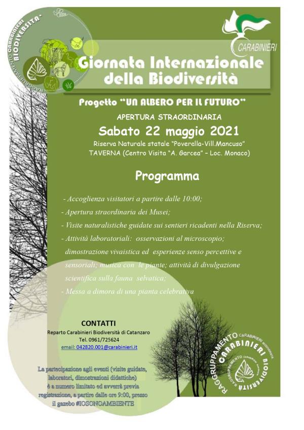 I carabinieri celebrano la Giornata Mondiale della Biodiversità: l’iniziativa a Villaggio Mancuso images I carabinieri celebrano la Giornata Mondiale della Biodiversità: l’iniziativa a Villaggio Mancuso