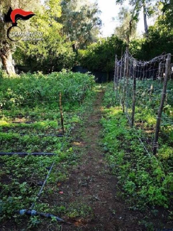 Rende è fatta per Ampollini e Chamberlain, in arrivo l’ex Juve Libertazzi images Rende è fatta per Ampollini e Chamberlain, in arrivo l’ex Juve Libertazzi