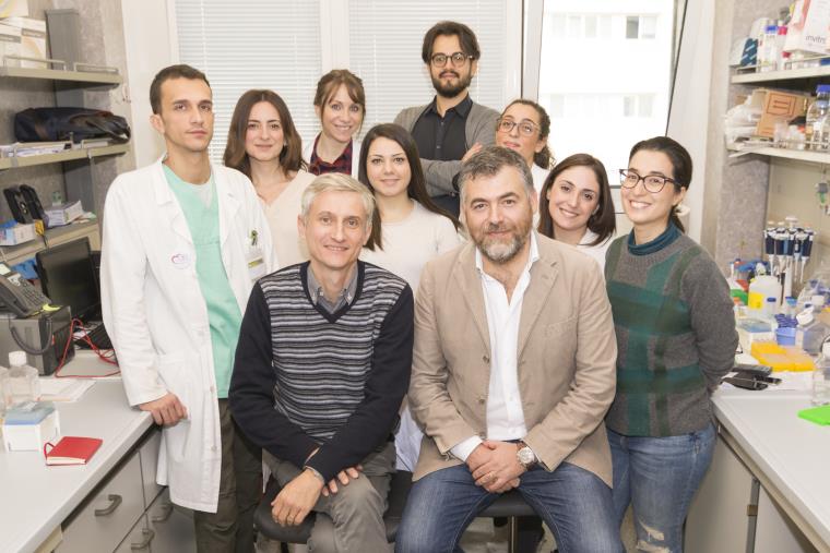 Scoperta l’origine dei tumori del cuore dal laboratorio di Cardiologia Molecolare e Cellulare dell’Università Magna Graecia di Catanzaro images Scoperta l’origine dei tumori del cuore dal laboratorio di Cardiologia Molecolare e Cellulare dell’Università Magna Graecia di Catanzaro