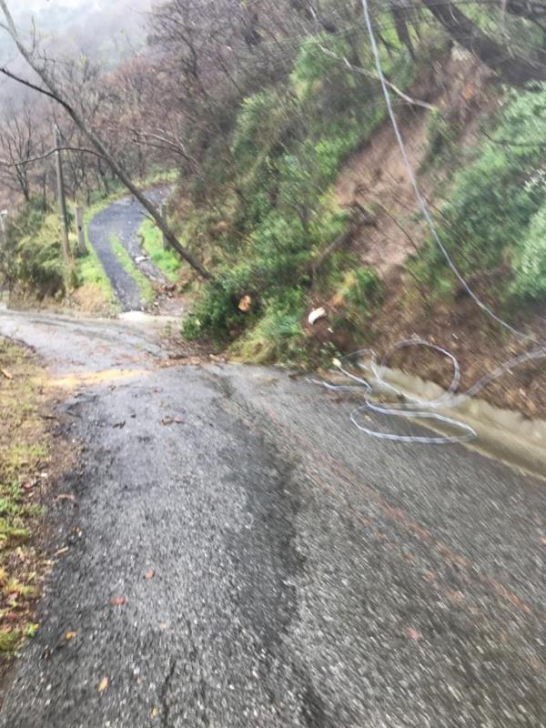 Maltempo. A Gagliano, in contrada Cavaglioti, alberi cadono sulla strada images Maltempo. A Gagliano, in contrada Cavaglioti, alberi cadono sulla strada
