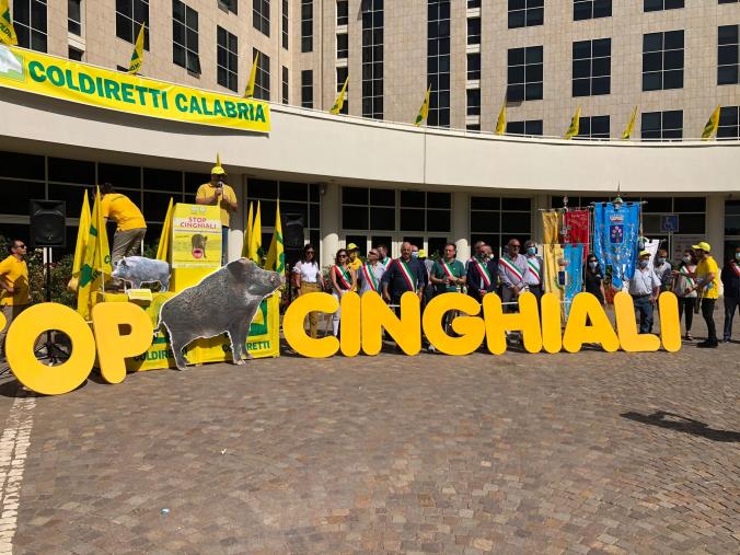 #Noiseminiamoicinghialiraccolgonobastacinghiali. In scena alla Cittadella il flash-mob di Coldiretti Calabria (FOTO) images #Noiseminiamoicinghialiraccolgonobastacinghiali. In scena alla Cittadella il flash-mob di Coldiretti Calabria (FOTO)