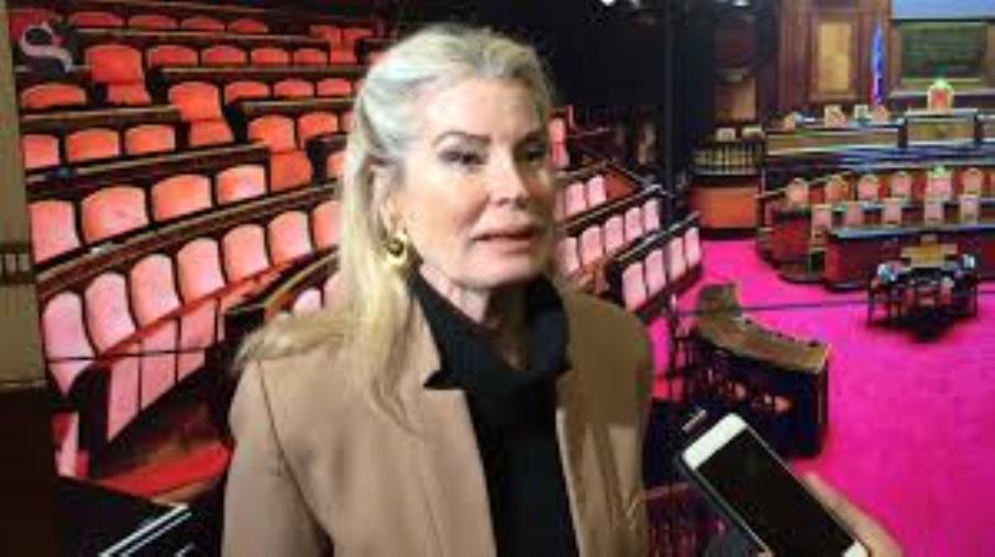 images Decreto Calabria. Rizzotti (FI): "No alla proroga del commissariamento: assist per Arcuri candidato presidente"