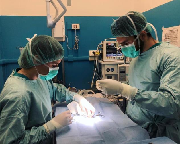 Ginnastica ritmica, Restart Reggio brilla ai campionati italiani images Ginnastica ritmica, Restart Reggio brilla ai campionati italiani