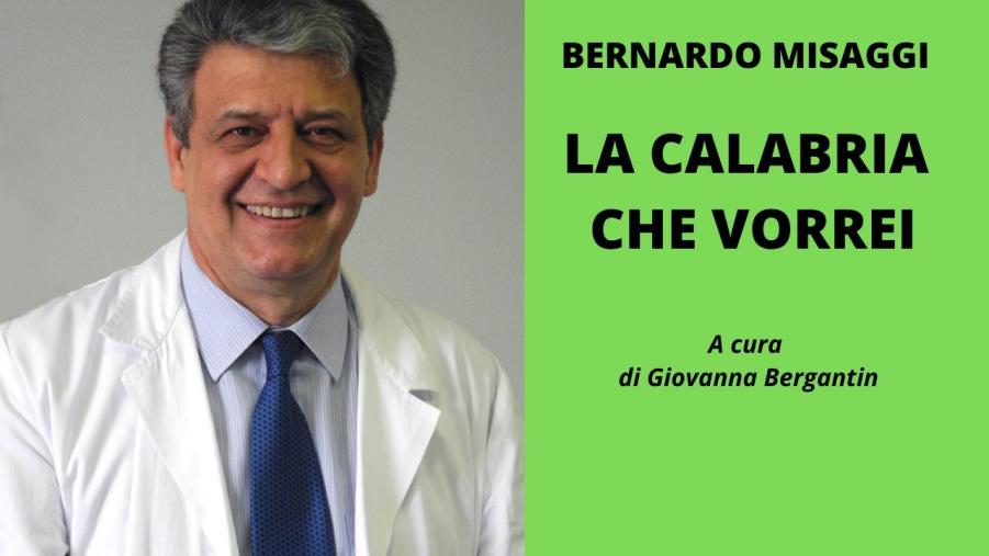 images La diagnosi e la terapia di Misaggi per la sanità calabrese: "Puntare su efficienza degli ospedali. L'emigrazione dei pazienti è l'emergenza" (VIDEO)