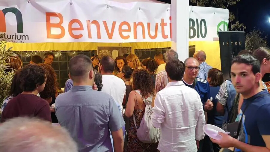 images Montepaone celebra il Vegan Fest Naturium: sostenibilità ambientale e alimentazione cruelty-free 
