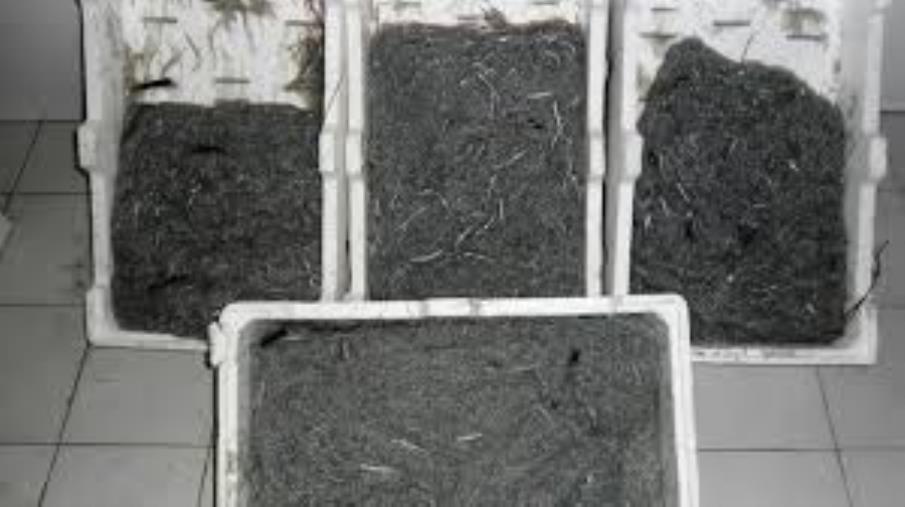 images La Planet Basket Catanzaro prima nel campionato eccellenza under 18 girone E