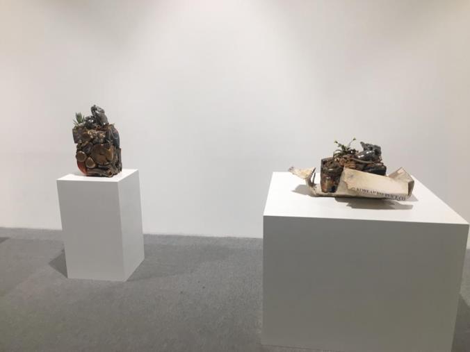 images A Taverna "Sulle tracce del Cavaliere Calabrese"