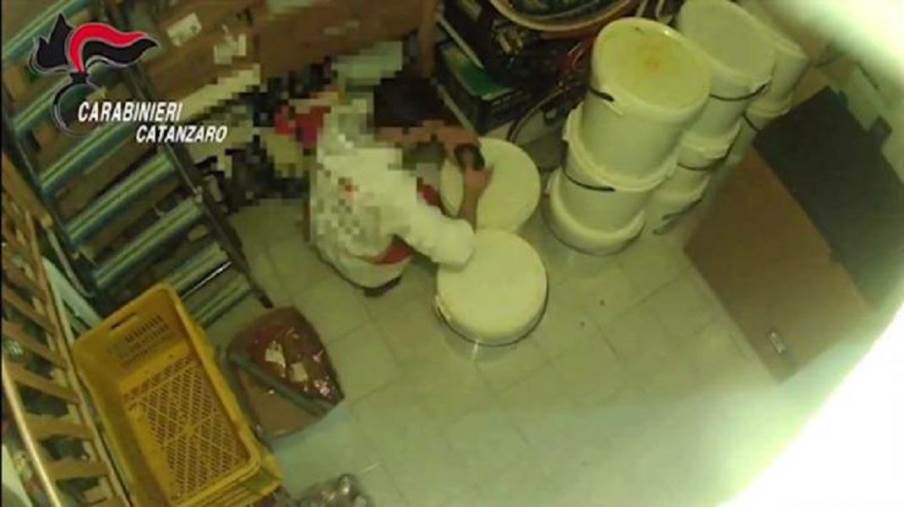 Last generation, la Procura non fa sconti: chiesto il processo per tutti i presunti trafficanti di droga a Soverato. Udienza a marzo images Last generation, la Procura non fa sconti: chiesto il processo per tutti i presunti trafficanti di droga a Soverato. Udienza a marzo