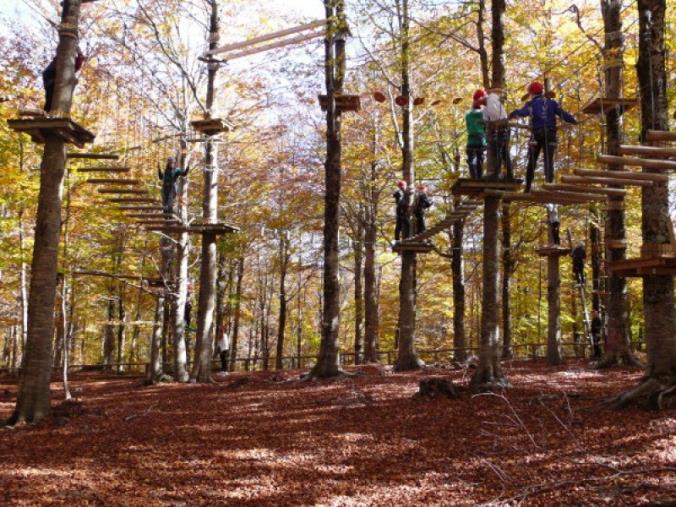 images Nel "segno" di Ilario Parentela. Anteprima del suo lavoro per Leonardo 500 (VIDEO)