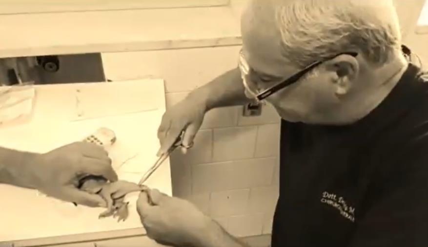 images Buona Sanità: all'ospedale di Soverato si ridà il sorriso al piccolo Francesco e al suo 'amico'