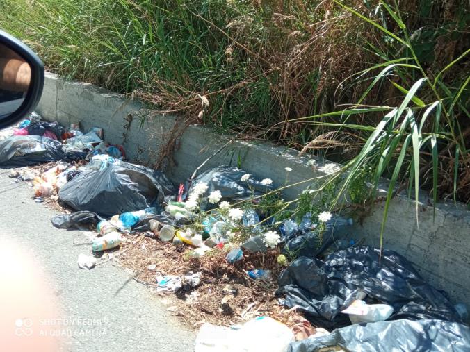 images Catanzaro, Cricelli (Noi con l’Italia): "Degrado e pericolo lungo via Tagliamento"