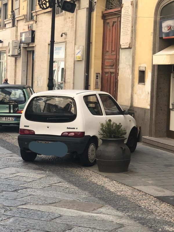images Parco della Sila, il commissario Curcio nominato presidente
