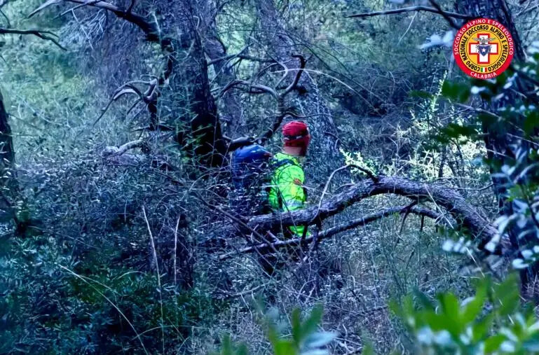 Fungaiolo 73enne disperso a Cerchiara: quarto giorno di ricerche a vuoto images Fungaiolo 73enne disperso a Cerchiara: quarto giorno di ricerche a vuoto