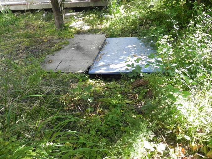 Tre ordinanze del sindaco di San Donato di Ninea per evitare proliferazione insetti images Tre ordinanze del sindaco di San Donato di Ninea per evitare proliferazione insetti