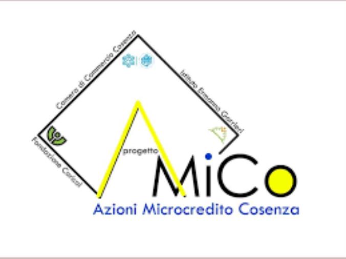 Microcredito, con il "Progetto AMiCo" a Cosenza finanziate 19 imprese images Microcredito, con il "Progetto AMiCo" a Cosenza finanziate 19 imprese