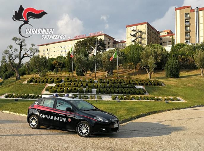 images Gestiva un traffico di droga tra i giovani catanzaresi, in carcere 27enne