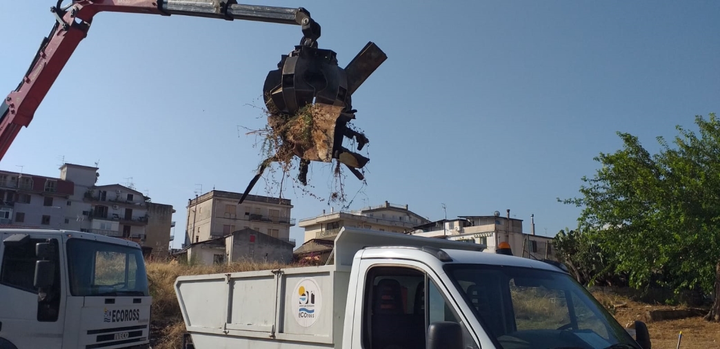 images Prosegue la stagione concertistica  
al teatro Rendano
