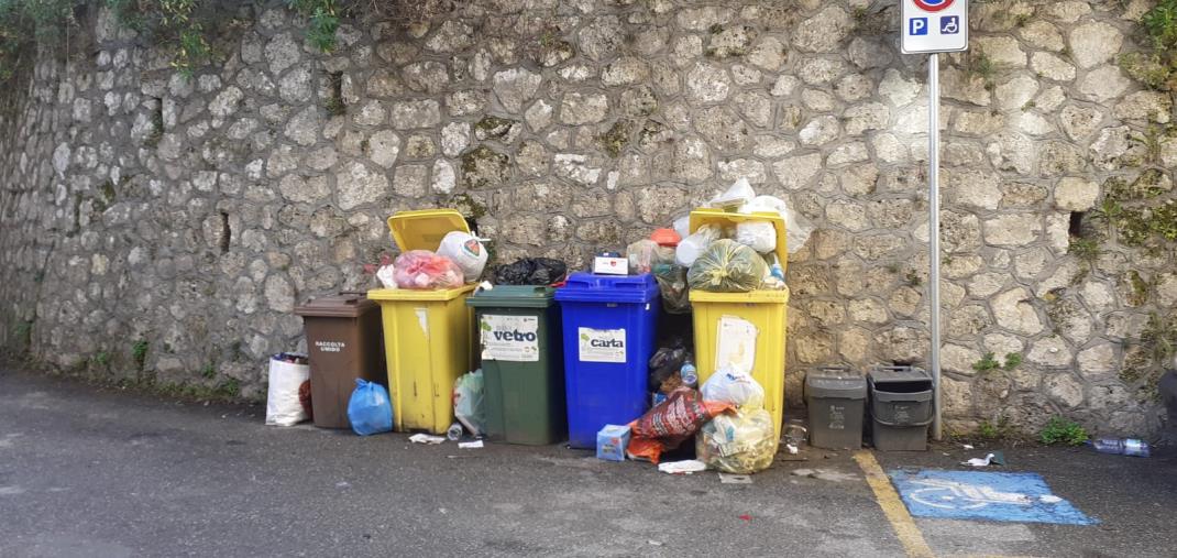 Catanzaro, nuovo appalto rifiuti: non ci sarà più il decespugliamento dei marciapiedi images Catanzaro, nuovo appalto rifiuti: non ci sarà più il decespugliamento dei marciapiedi